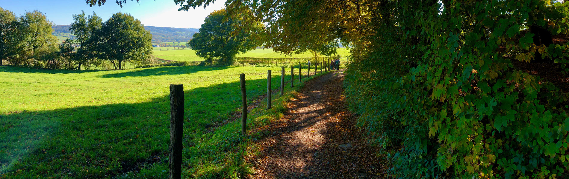 BBB-Website-Header-1900x600-2024-Limburg